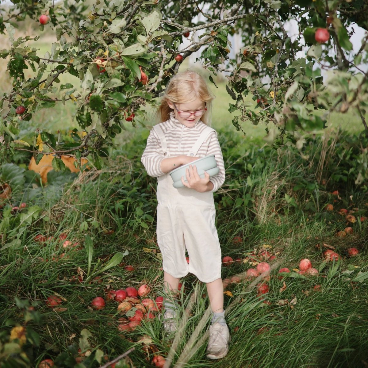 Mushie BPA Free Plastic Lunchbox with Built In Compartments and Locking Utensils - Everetts Place Boutique - 