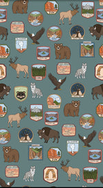 National Parks Adventure Adult Bamboo Blanket – Reversible 85x65 | 2.0 TOG by Rayn’s Tiny Stitches