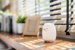 Sleeping Pal portable night light with soothing sound machine for babies.