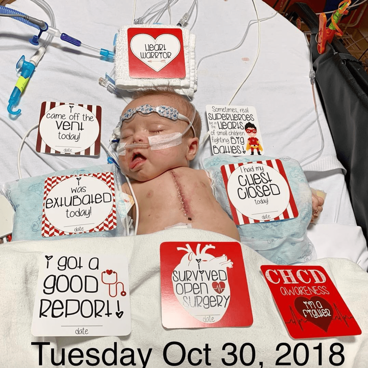 Three Little Tots CHD Heart Warrior Plastic Moment Cards - 