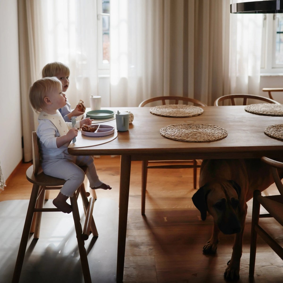 Mushie Classic Silicone Suction Plate for Kids Safe Non Slip Feeding Solution - Everetts Place Boutique - 