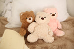 Bestaroo Cloud Soft Cuddle Buddies - 