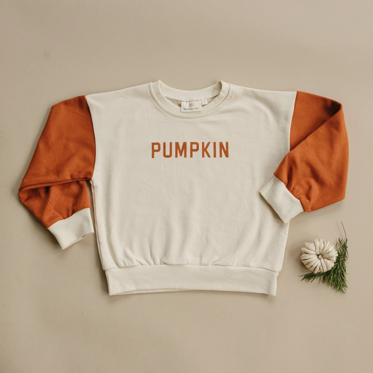 Little Joy Co. Colorblock Pumpkin Crewneck Sweatshirt for Kids Unisex - Everetts Place Boutique - 
