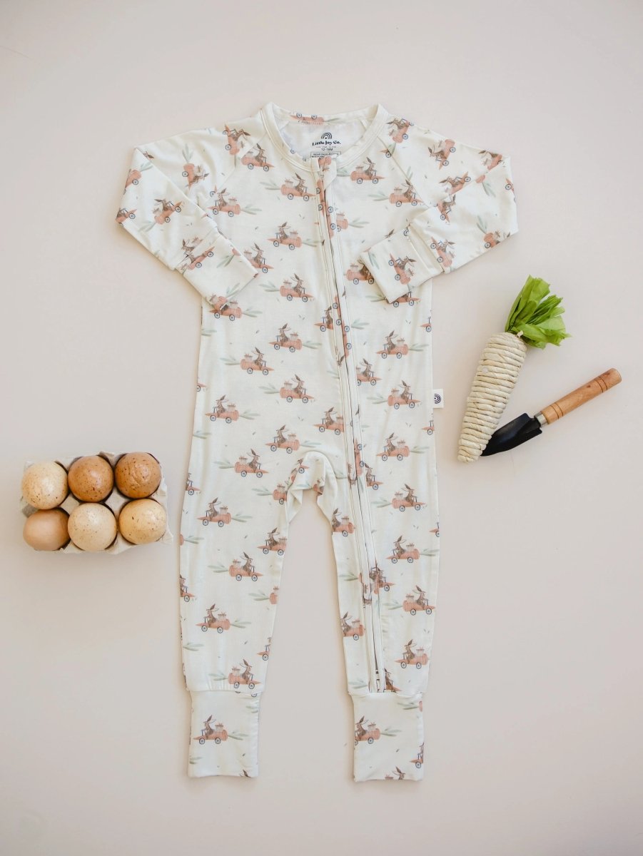 Little Joy Co. Cottontail Cruisers Modal Zippy Soft Romper for Babies - Everetts Place Boutique - 