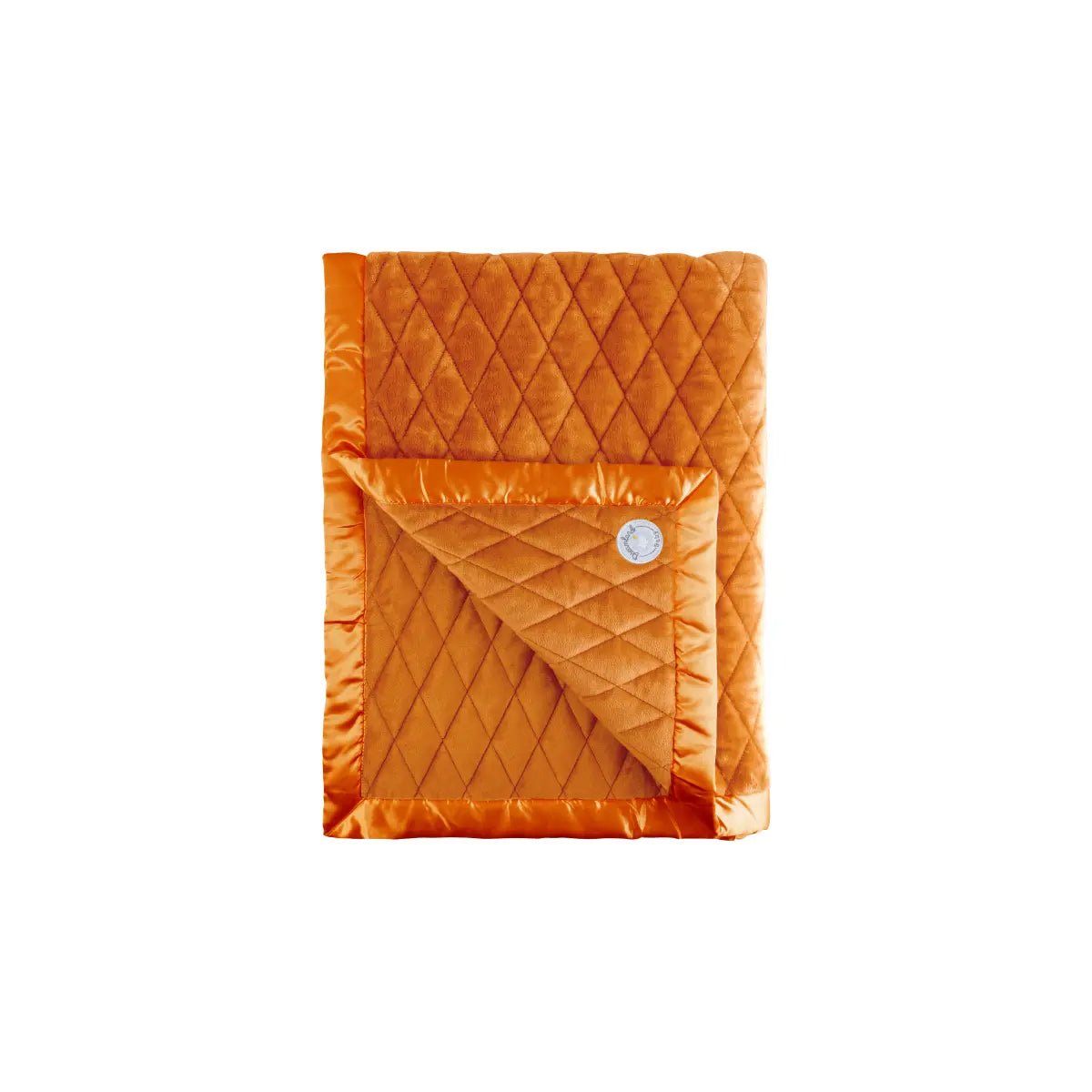 Dreamland Baby Cozy Weighted Toddler Blanket with Gentle 4 Pound Design for Kids 3 Plus - 