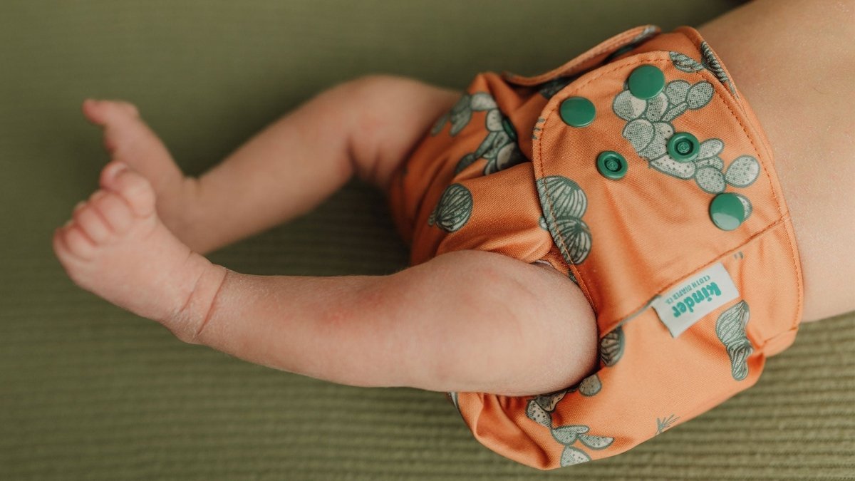 Nature: Essentials Pocket Cloth Diaper with Athletic Wicking Jersey, Grows with your Baby - Everetts Place Boutique - Pocket Diaper
