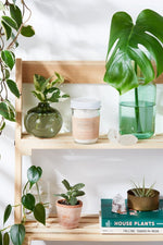 Butter Me Up Organics Detox Bath Epsom Salt Soak with Essential Oils for Relaxation - 