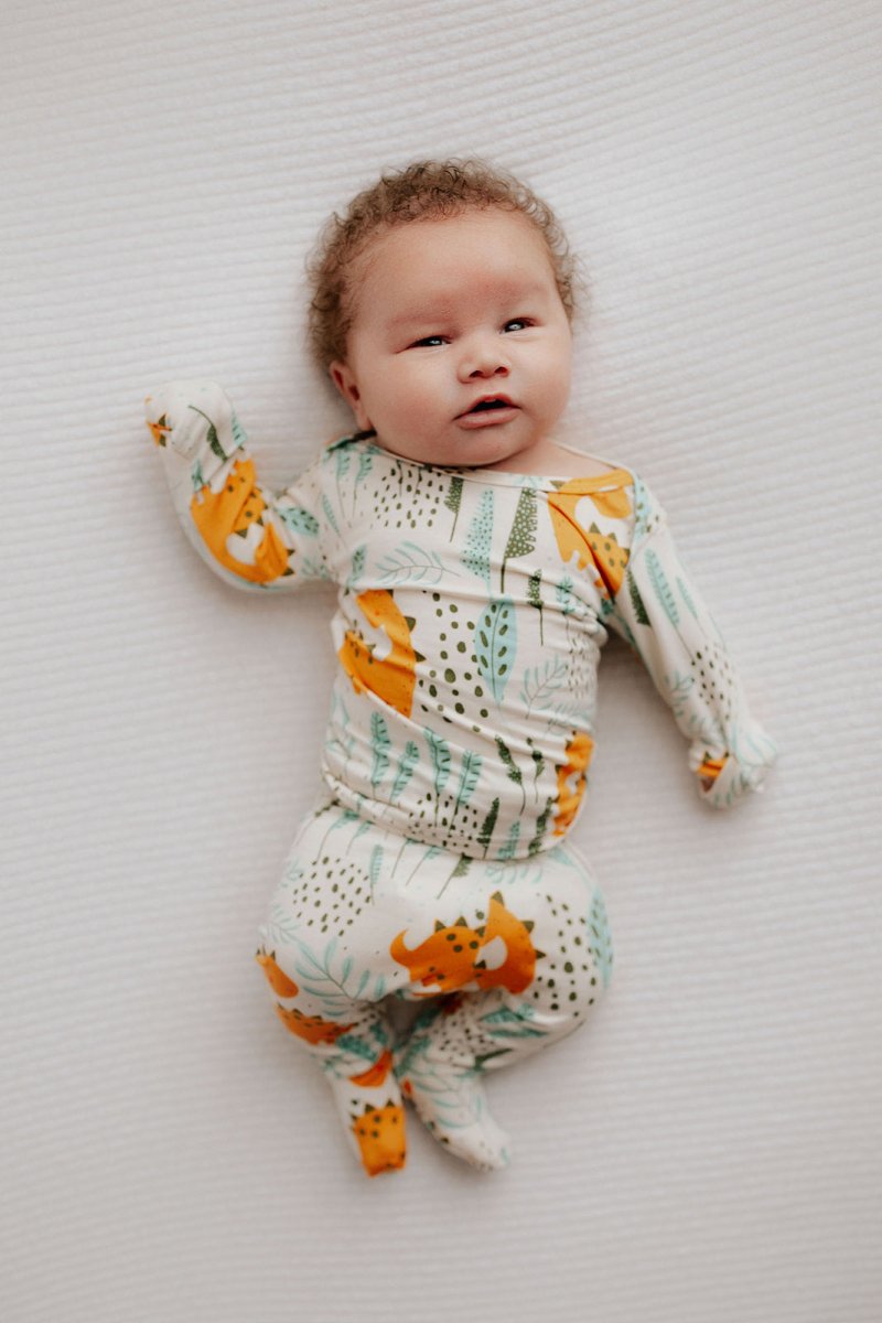 Three Little Tots Dinosaur Kids Pajamas - 