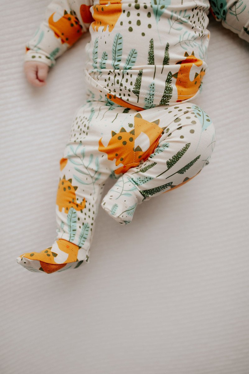 Three Little Tots Dinosaur Kids Pajamas - 