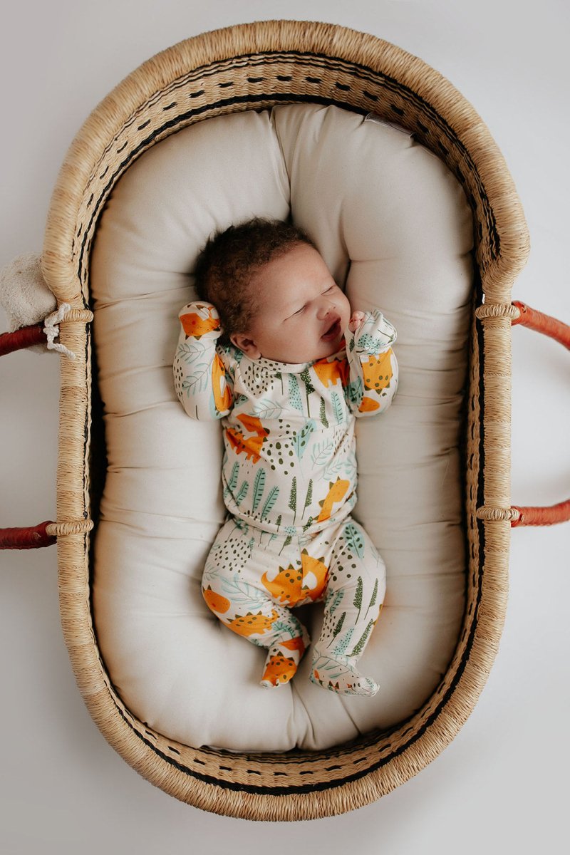 Three Little Tots Dinosaur Kids Pajamas - 