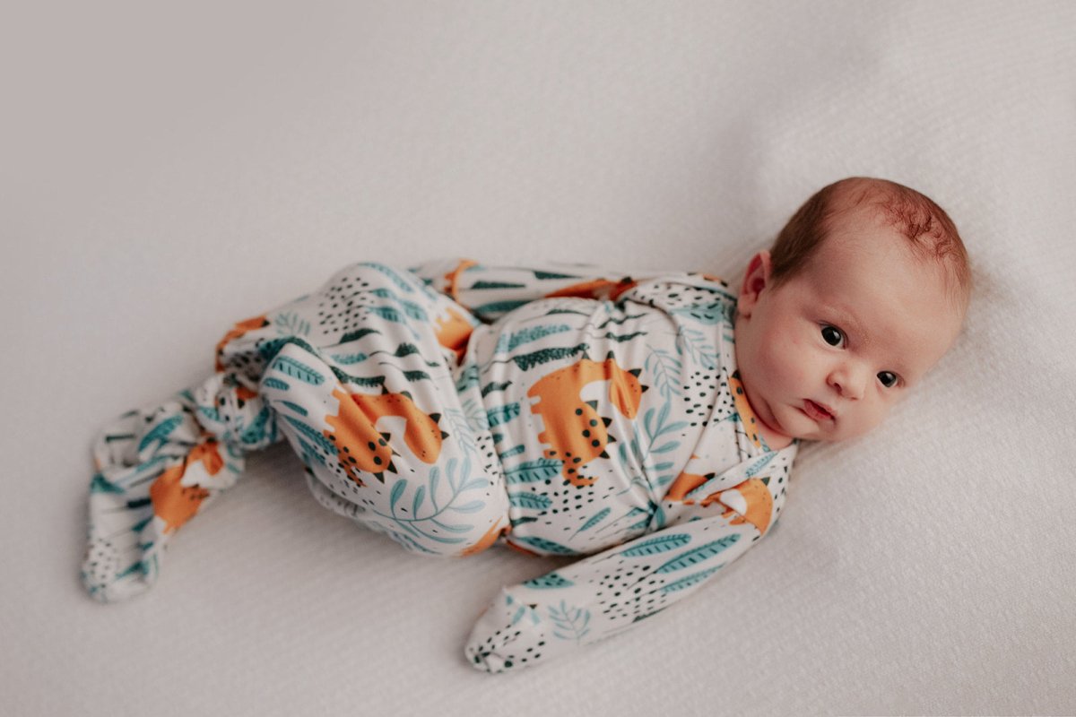 Three Little Tots Dinosaur Themed Newborn Knotted Gown - 