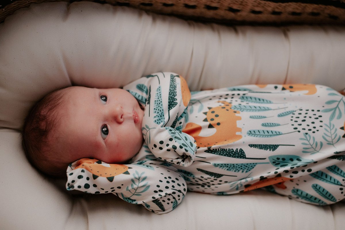 Three Little Tots Dinosaur Themed Newborn Knotted Gown - 