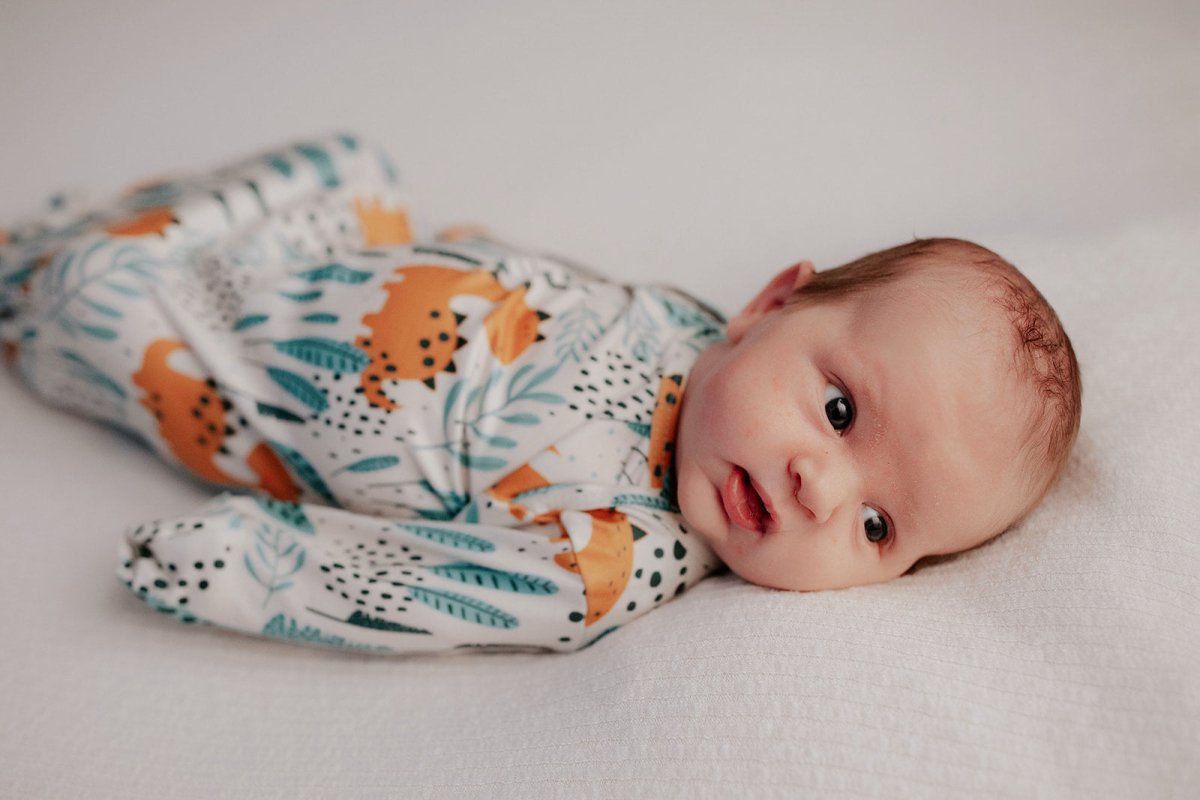 Three Little Tots Dinosaur Themed Newborn Knotted Gown - 