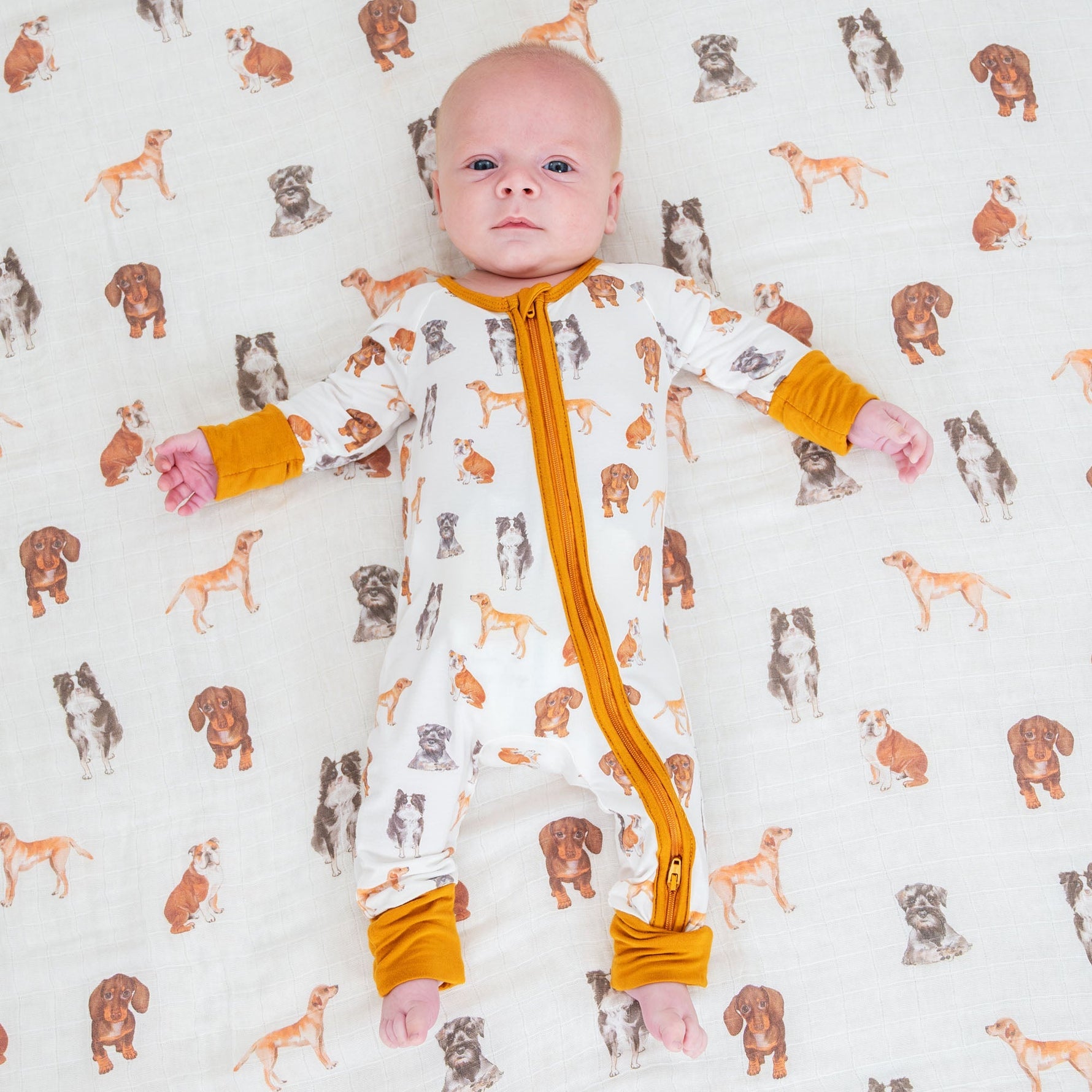 LollyBanks Doggone Cute Zipper One Piece Pajama