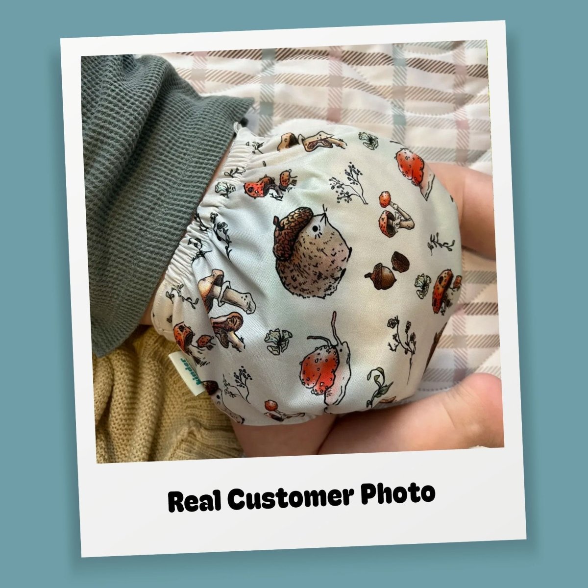 Animals and Insects: Essentials Pocket Cloth Diaper with Athletic Wicking Jersey, Grows with your Baby - Everetts Place Boutique - Pocket Diaper