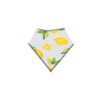Dreamland Baby Dream Bandana Bib - 