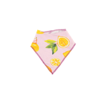 Dreamland Baby Dream Bandana Bib - 