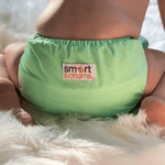 Smart Bottoms Dream Diaper 2.0 - Dublin - 