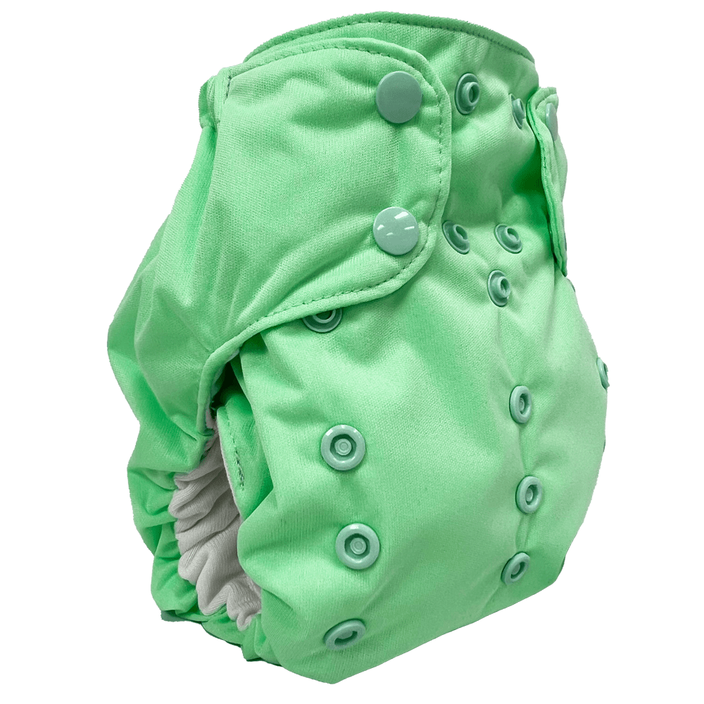 Smart Bottoms Dream Diaper 2.0 - Dublin - 