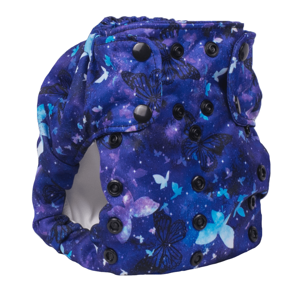 Smart Bottoms Dream Diaper 2.0 - Little Wings - 