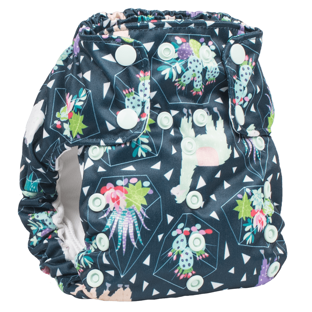 Smart Bottoms Dream Diaper 2.0 - Tina - 
