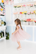 Mila & Rose ® Dusty Pink Shimmer Tutu Dress Flutter Sleeves Princess - 