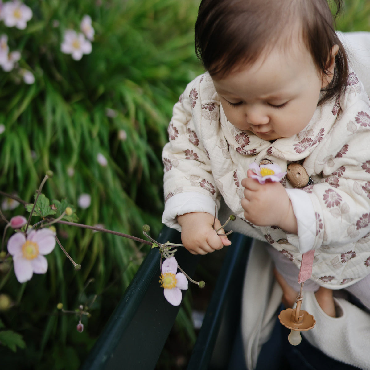 Natural Rubber FRIGG Pacifier, Daisy, 2-Pack by Mushie