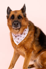 DREAM BIG LITTLE CO EXCLUSIVE HIGHLAND CUTIE DREAM DOG BANDANAEveretts Place
