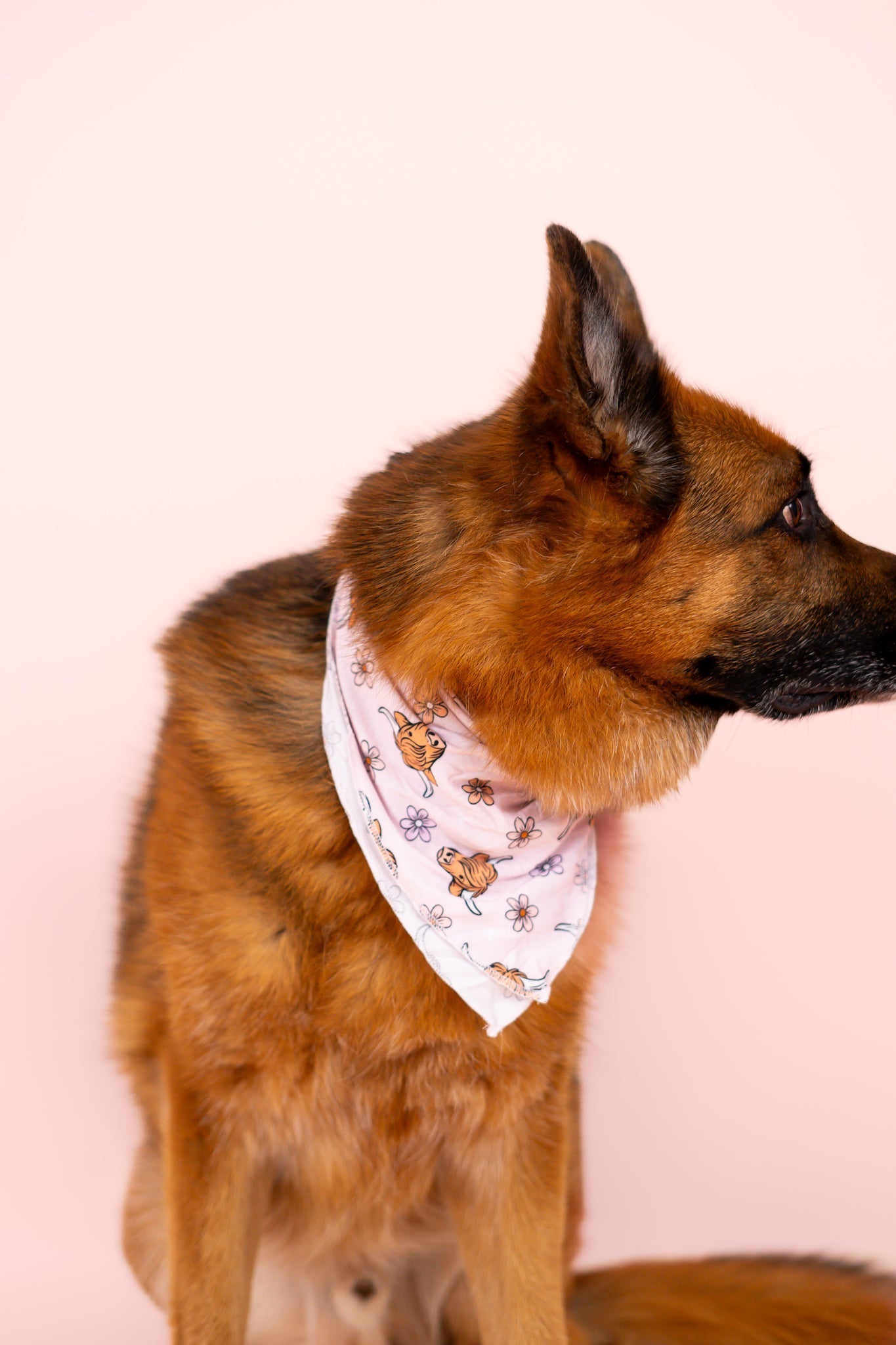 DREAM BIG LITTLE CO EXCLUSIVE HIGHLAND CUTIE DREAM DOG BANDANAEveretts Place