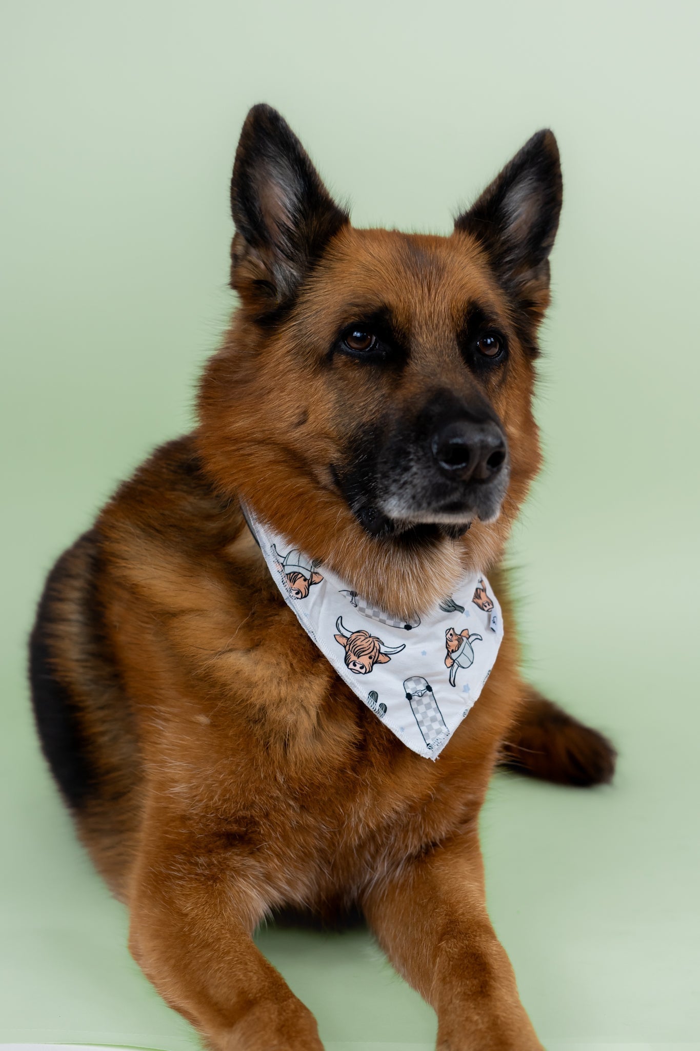DREAM BIG LITTLE CO EXCLUSIVE MOO - VING FAST DREAM DOG BANDANAEveretts Place