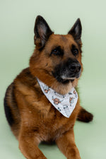 DREAM BIG LITTLE CO EXCLUSIVE MOO - VING FAST DREAM DOG BANDANAEveretts Place