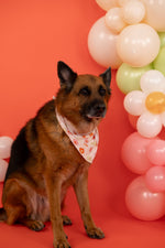 DREAM BIG LITTLE CO FEELIN' FLOWERFUL DREAM DOG BANDANAEveretts Place