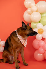 DREAM BIG LITTLE CO FEELIN' FLOWERFUL DREAM DOG BANDANAEveretts Place