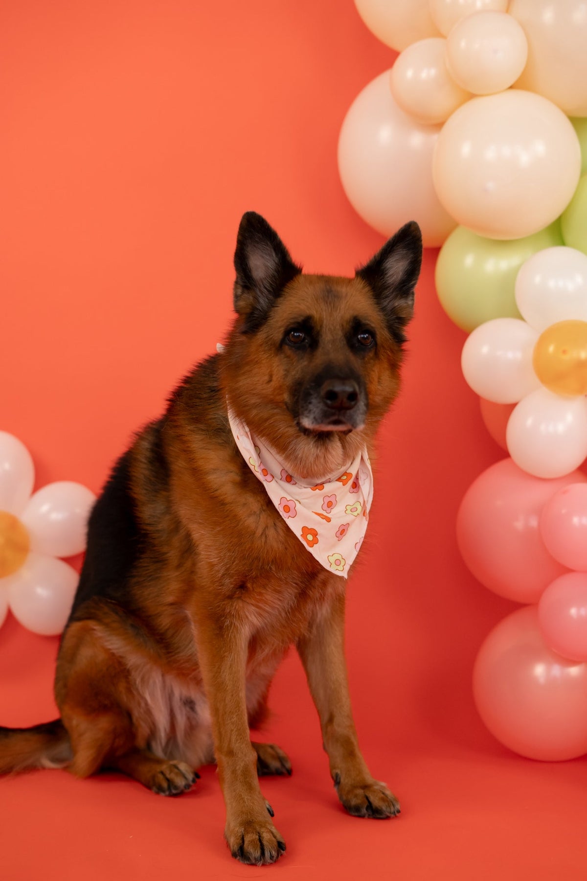 DREAM BIG LITTLE CO FEELIN' FLOWERFUL DREAM DOG BANDANAEveretts Place