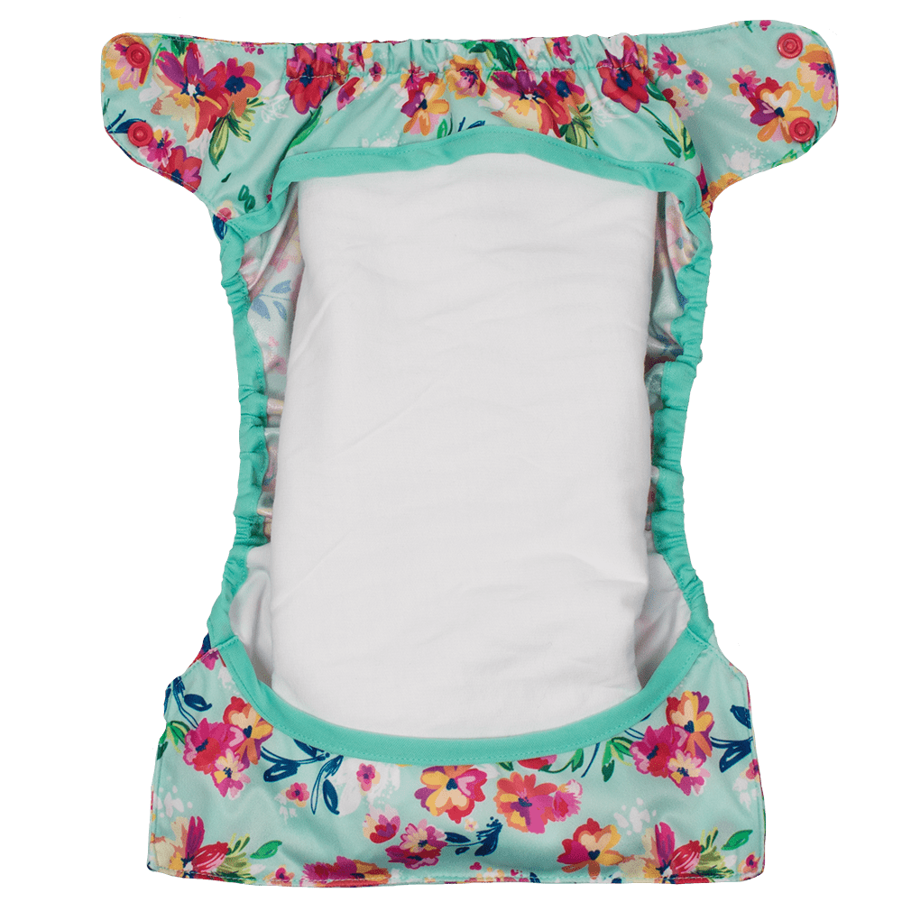 Smart Bottoms Flat Diaper - 