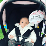 Three Little Tots Flower No Touching Baby Car Seat Sign Tag - 