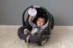 Three Little Tots Flower No Touching Baby Car Seat Sign Tag - 