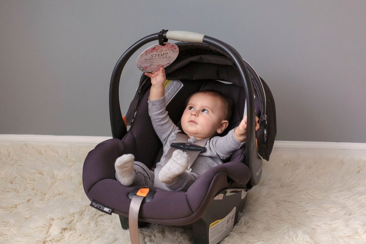 Three Little Tots Flower No Touching Baby Car Seat Sign Tag - 