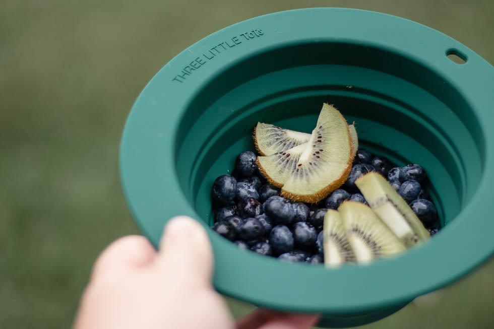 Three Little Tots Forest Green Collapsible Bowl for Travel or Home - 