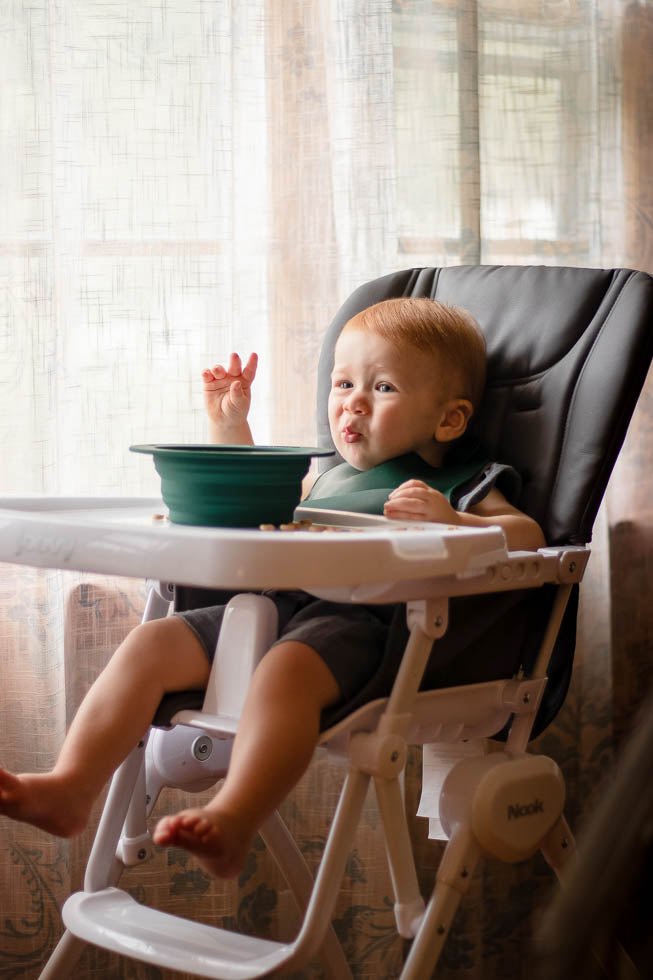 Three Little Tots Forest Green Collapsible Bowl for Travel or Home - 