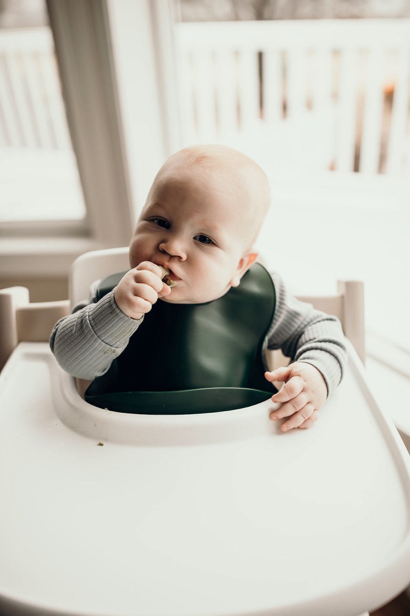 Three Little Tots Forrest Green Silicone Bib with Crumb Catcher - 