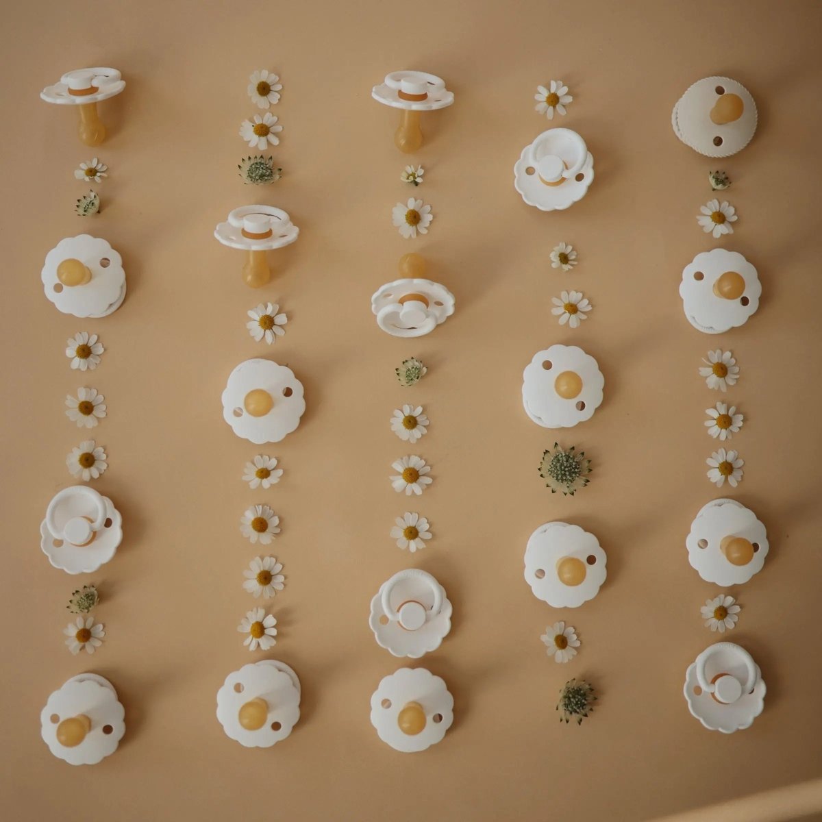 Mushie Frigg Daisy Natural Rubber Pacifier Two Pack - 