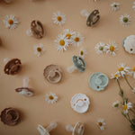 Mushie Frigg Daisy Night Silicone Pacifier 2 Pack with SilkySoft Nipple and Glow in Dark Design - Everetts Place Boutique - 