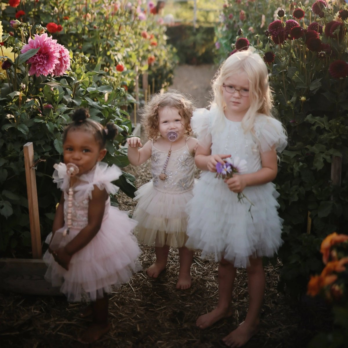 Mushie Frigg Daisy Silicone Pacifier 2 Pack with SilkySoft Nipple - Everetts Place Boutique - 