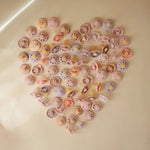 Mushie Frigg Lucky Symmetrical Silicone Pacifier 2 Pack for 6 to 18 Months - 