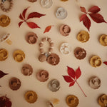 Mushie Frigg Moon Natural Rubber Pacifier 2 Pack - Everetts Place Boutique - 