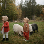 Mushie Frigg Rope Silicone Pacifier 2 Pack with SilkySoft Nipple and Click Lock System - 