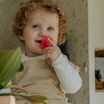 Mushie FRIGG Silicone Pacifier Four Pack for Baby Comfort with Safe Design and Soft Colors - 