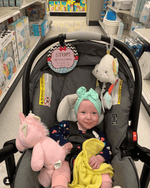 Three Little Tots Girl Zig Zag Please Don't Touch My Baby Car Seat Sign Tag - 