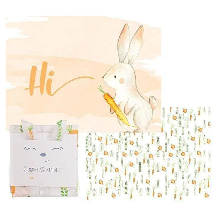2 Pack Newborn Receiving Blankets Soft Jersey Baby Swaddle Blankets Goosewaddle® | Newborn Baby Blankets Toys Teethers Bibs & More